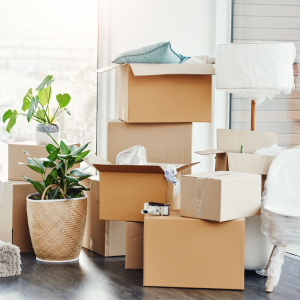 Pile of Moving Boxes