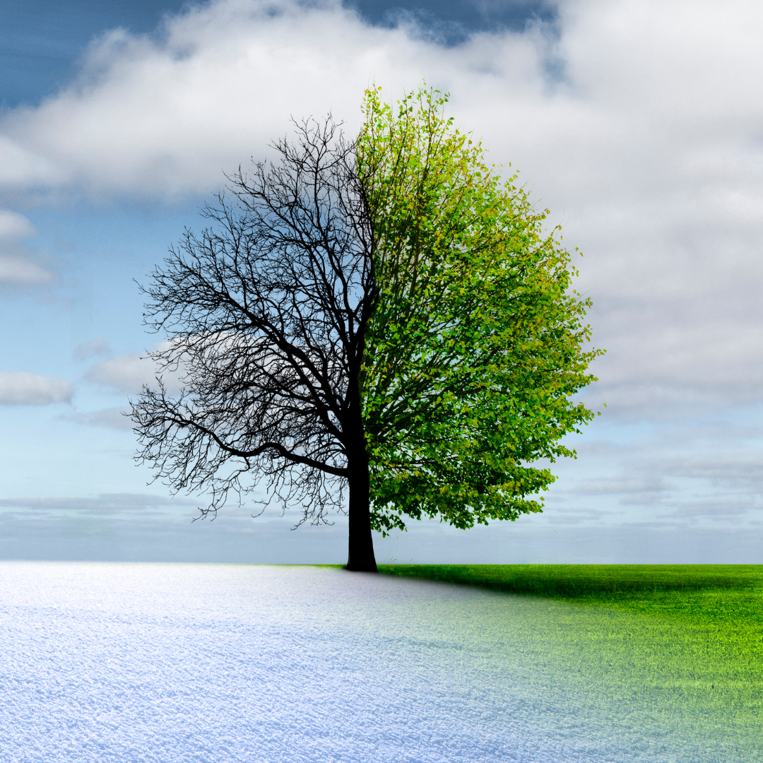 Spring weather