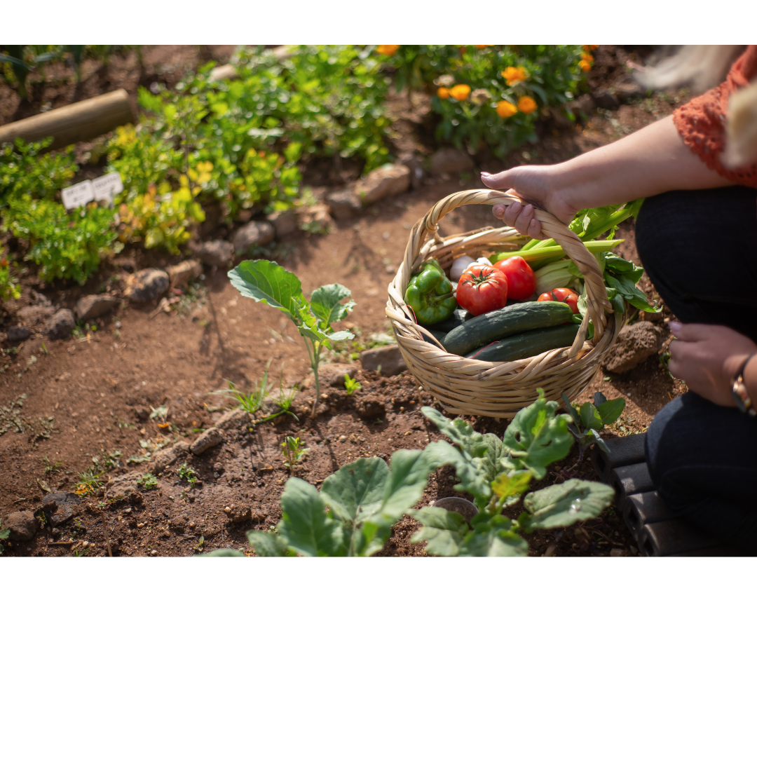 Relocating Entire Gardens