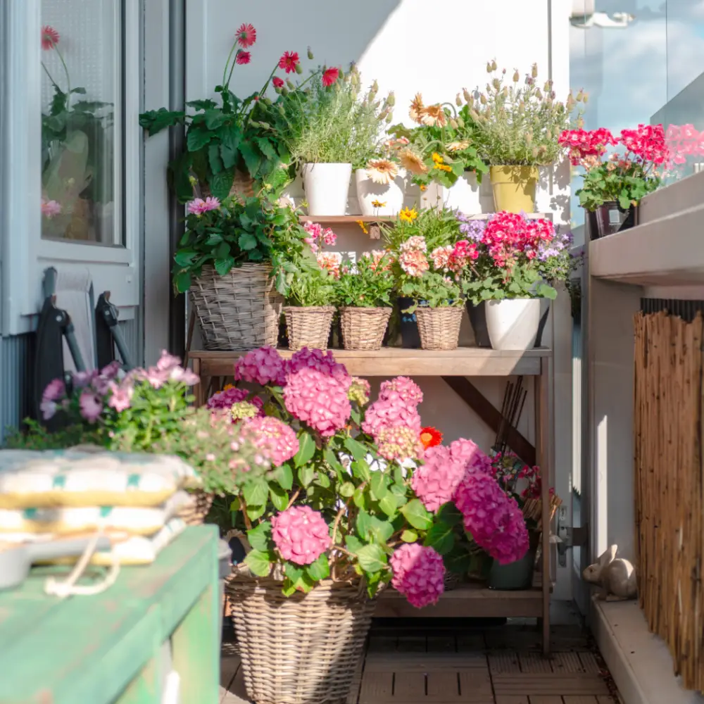Timing the Plant Relocation